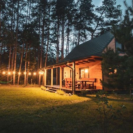 Lesna 21 Dom Poludnie Przy Puszcza Bialowieska Luka エクステリア 写真