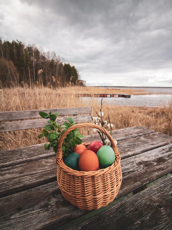 Lesna 21 Dom Poludnie Przy Puszcza Bialowieska Luka エクステリア 写真