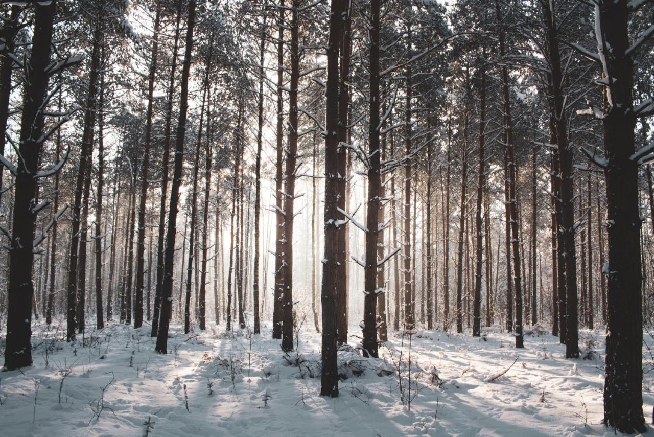 Lesna 21 Dom Poludnie Przy Puszcza Bialowieska Luka エクステリア 写真