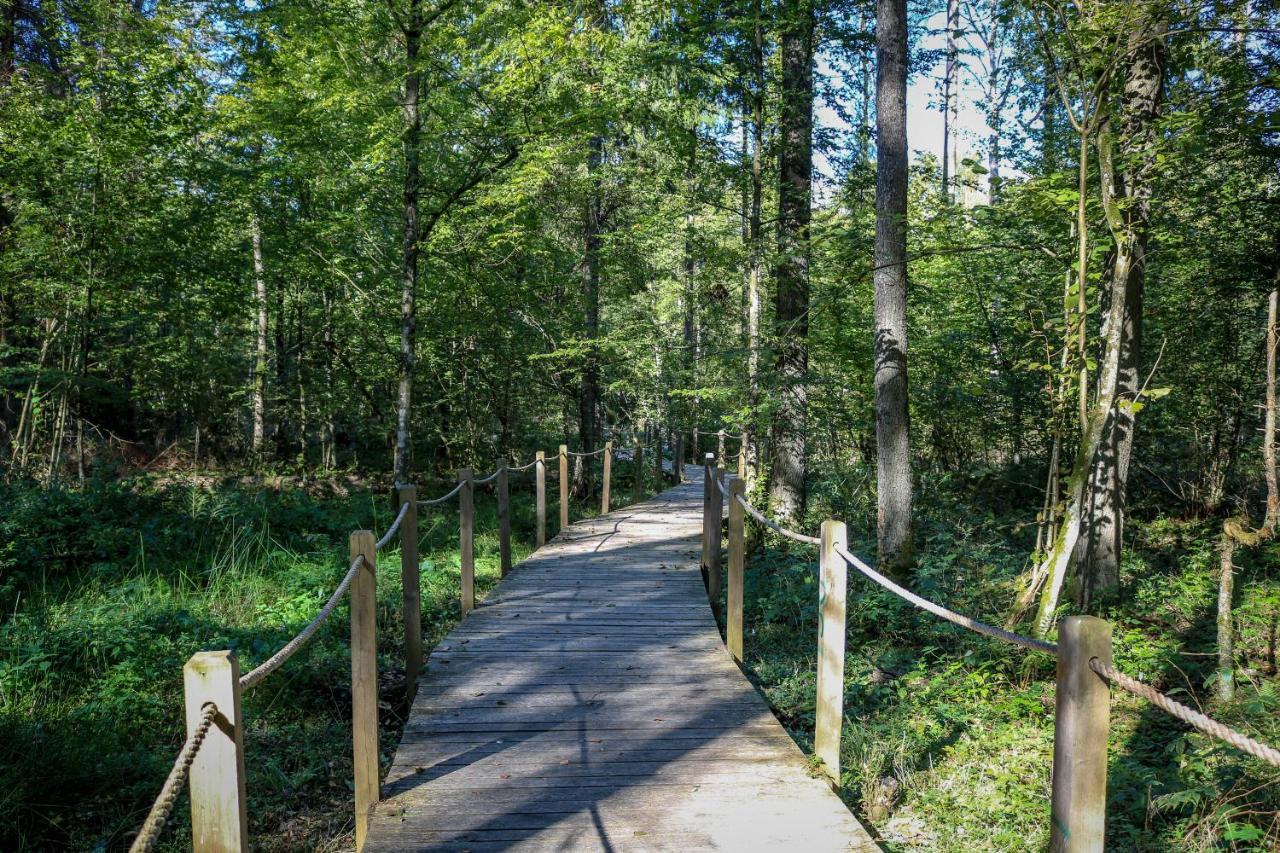 Lesna 21 Dom Poludnie Przy Puszcza Bialowieska Luka エクステリア 写真