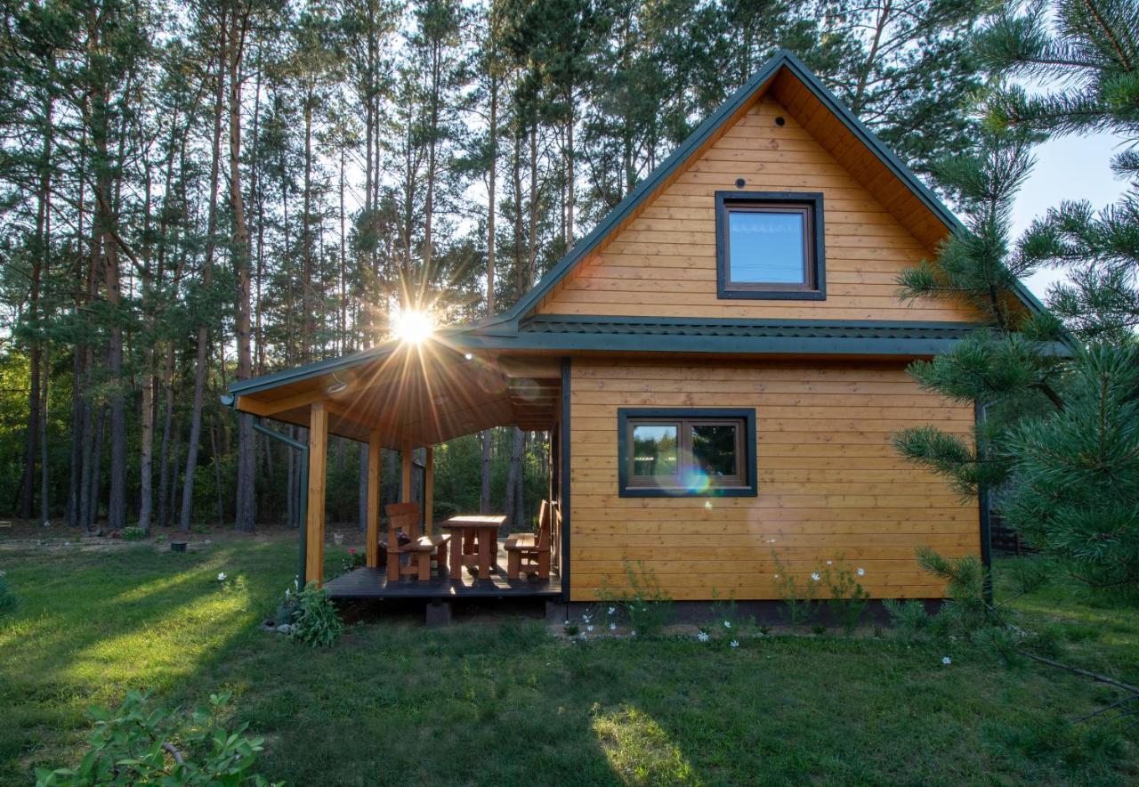 Lesna 21 Dom Poludnie Przy Puszcza Bialowieska Luka エクステリア 写真