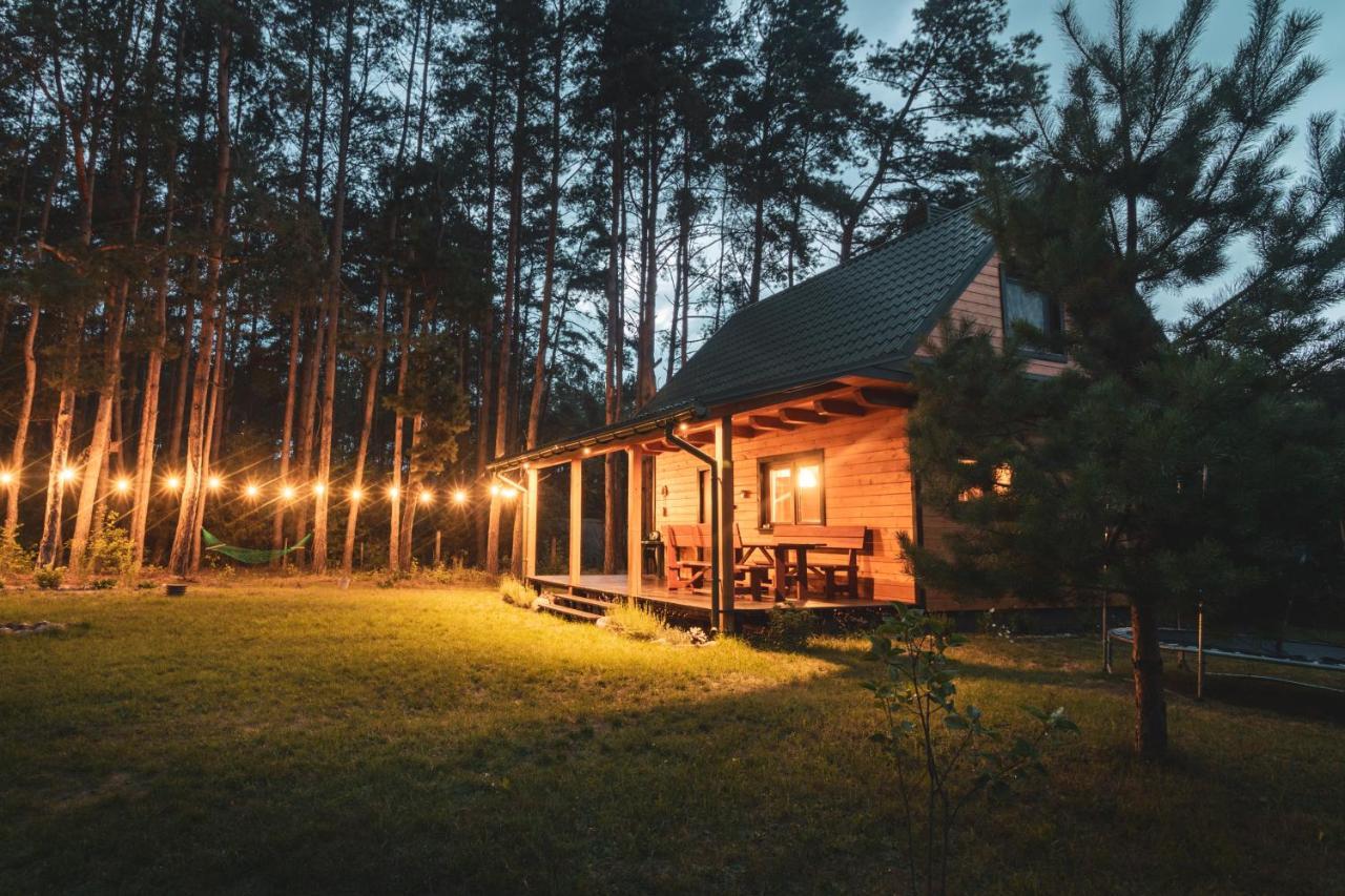 Lesna 21 Dom Poludnie Przy Puszcza Bialowieska Luka エクステリア 写真