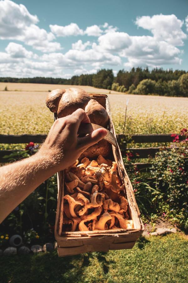 Lesna 21 Dom Poludnie Przy Puszcza Bialowieska Luka エクステリア 写真