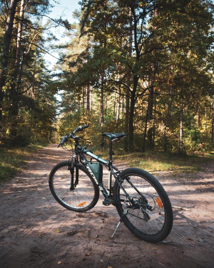 Lesna 21 Dom Poludnie Przy Puszcza Bialowieska Luka エクステリア 写真