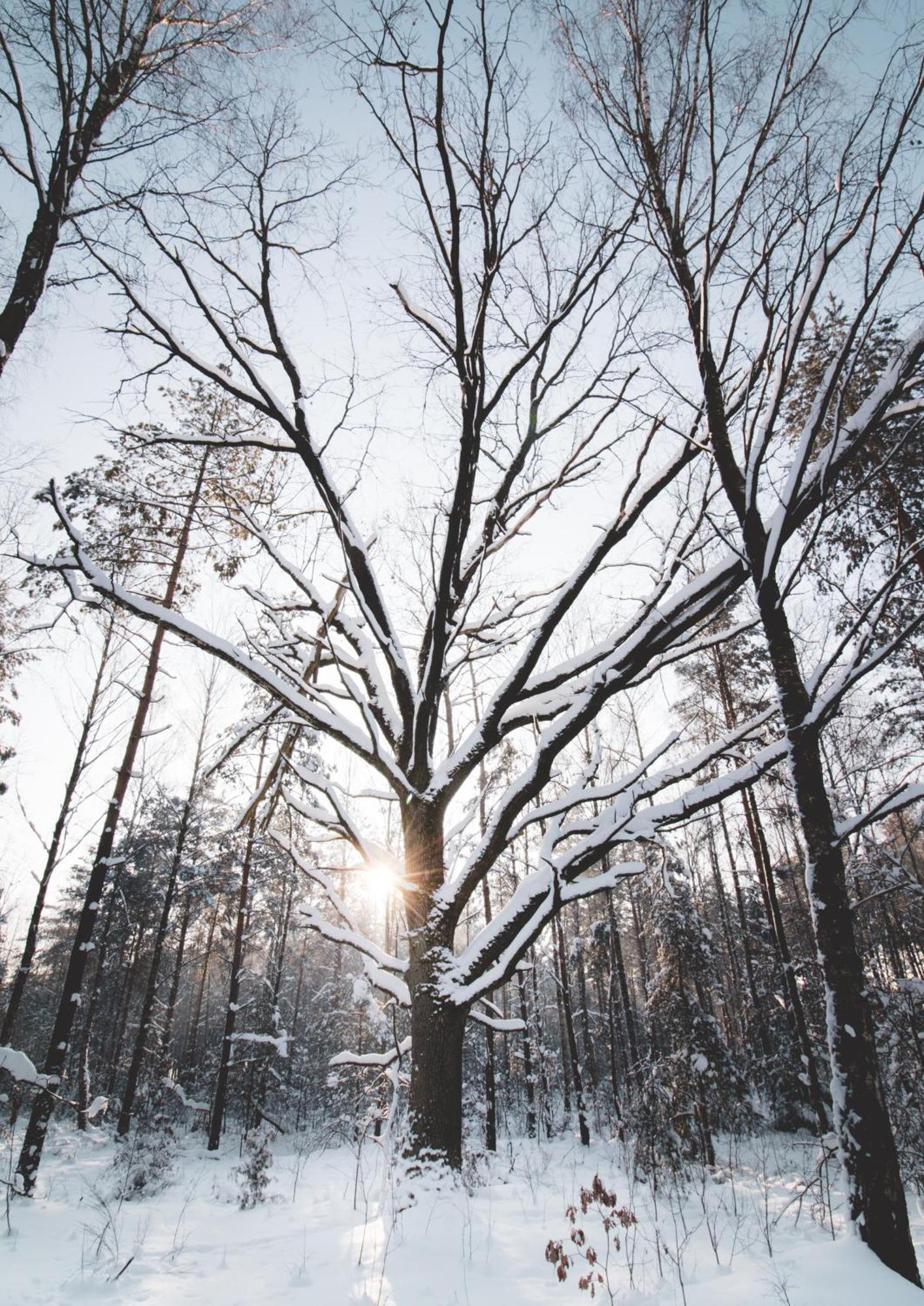 Lesna 21 Dom Poludnie Przy Puszcza Bialowieska Luka エクステリア 写真